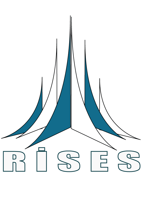 risesinsaat.com